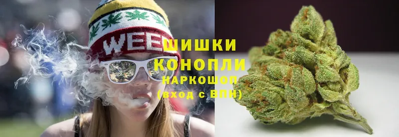 где купить наркотик  Стерлитамак  Бошки марихуана SATIVA & INDICA 